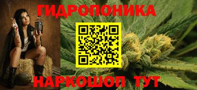 шишки Апшеронск