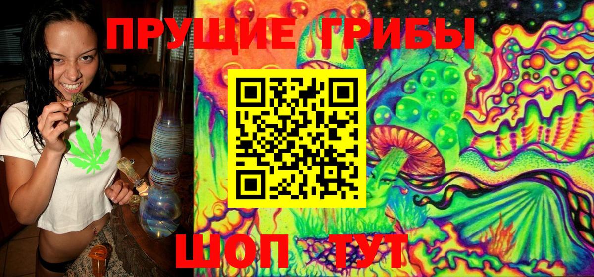 Галлюциногенные грибы GOLDEN TEACHER  Вход с VPN  Богородск 